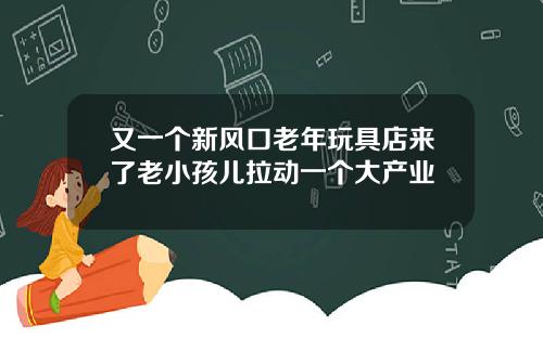 又一个新风口老年玩具店来了老小孩儿拉动一个大产业