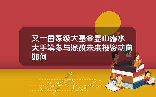 又一国家级大基金显山露水大手笔参与混改未来投资动向如何