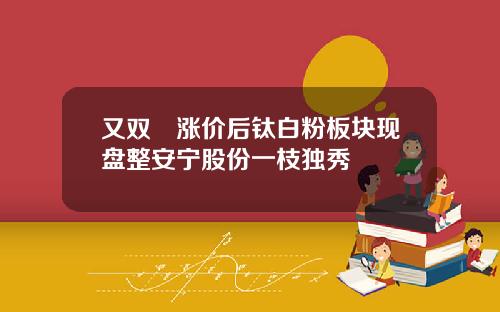 又双叒涨价后钛白粉板块现盘整安宁股份一枝独秀
