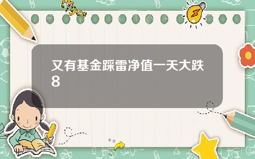 又有基金踩雷净值一天大跌8