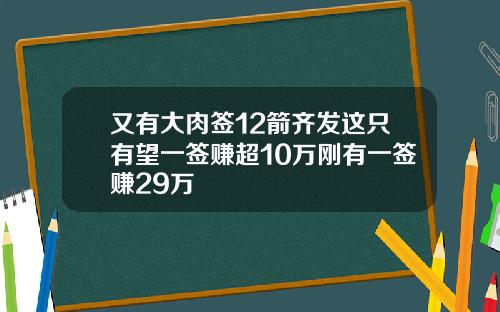 又有大肉签12箭齐发这只有望一签赚超10万刚有一签赚29万
