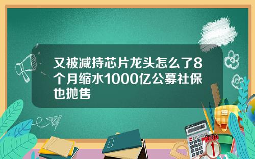 又被减持芯片龙头怎么了8个月缩水1000亿公募社保也抛售