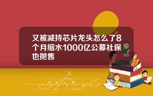 又被减持芯片龙头怎么了8个月缩水1000亿公募社保也抛售