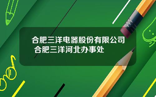 合肥三洋电器股份有限公司 合肥三洋河北办事处