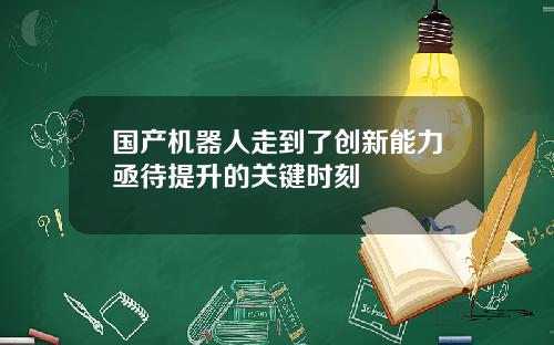 国产机器人走到了创新能力亟待提升的关键时刻