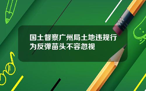 国土督察广州局土地违规行为反弹苗头不容忽视