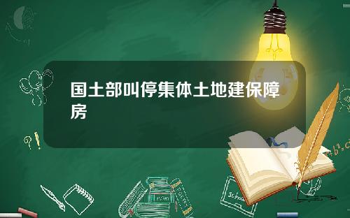 国土部叫停集体土地建保障房