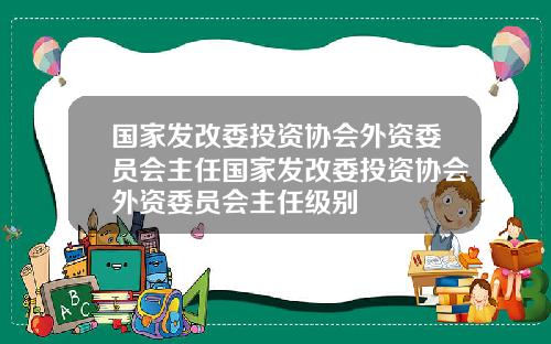国家发改委投资协会外资委员会主任国家发改委投资协会外资委员会主任级别