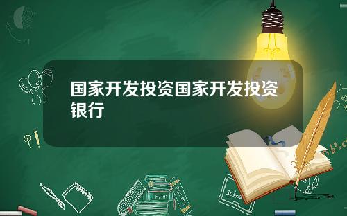 国家开发投资国家开发投资银行
