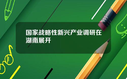 国家战略性新兴产业调研在湖南展开