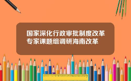 国家深化行政审批制度改革专家课题组调研海南改革