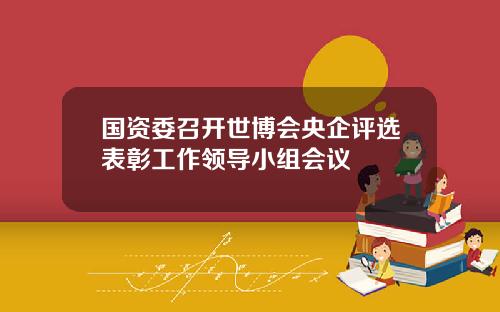 国资委召开世博会央企评选表彰工作领导小组会议