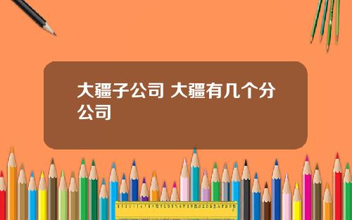 大疆子公司 大疆有几个分公司