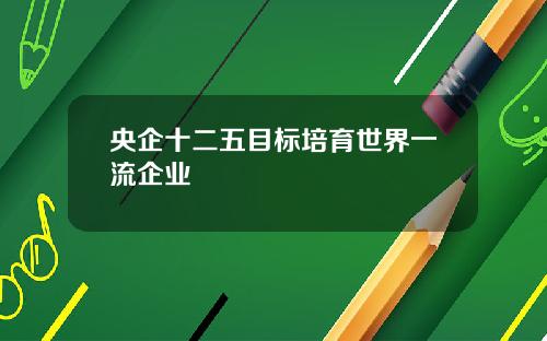 央企十二五目标培育世界一流企业