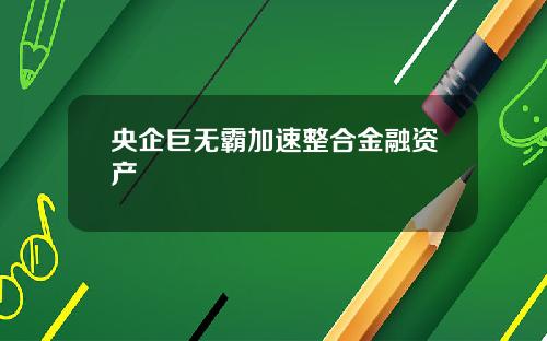央企巨无霸加速整合金融资产