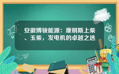 安徽博骏能源：康明斯上柴、玉柴，发电机的卓越之选