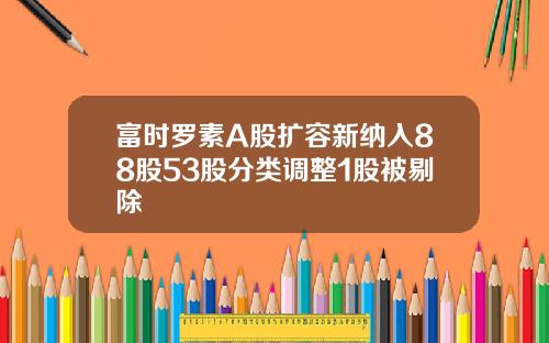 富时罗素A股扩容新纳入88股53股分类调整1股被剔除