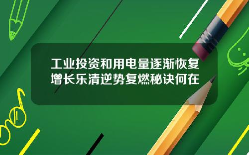 工业投资和用电量逐渐恢复增长乐清逆势复燃秘诀何在