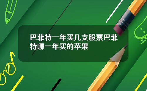 巴菲特一年买几支股票巴菲特哪一年买的苹果