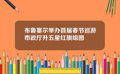 布鲁塞尔举办首届春节巡游市政厅升五星红旗组图