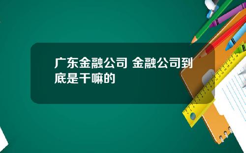 广东金融公司 金融公司到底是干嘛的
