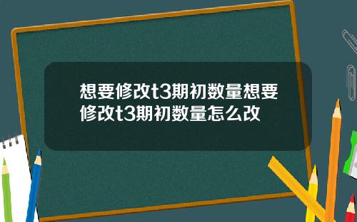 想要修改t3期初数量想要修改t3期初数量怎么改
