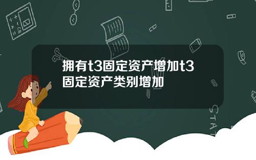 拥有t3固定资产增加t3固定资产类别增加