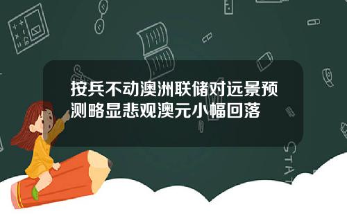 按兵不动澳洲联储对远景预测略显悲观澳元小幅回落