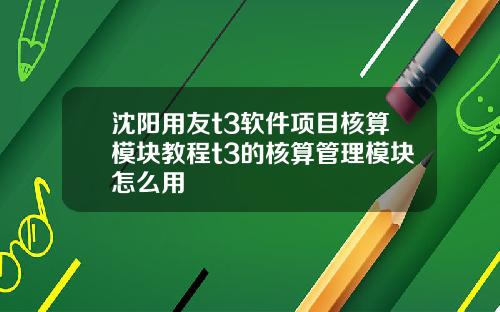 沈阳用友t3软件项目核算模块教程t3的核算管理模块怎么用