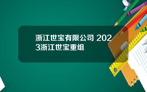 浙江世宝有限公司 2023浙江世宝重组