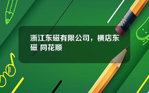 浙江东磁有限公司,横店东磁 同花顺