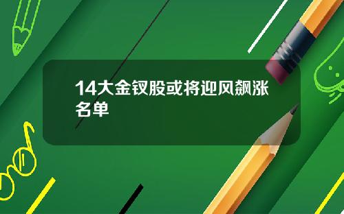 14大金钗股或将迎风飙涨名单