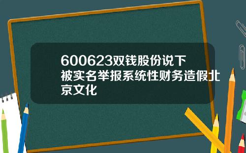 600623双钱股份说下被实名举报系统性财务造假北京文化