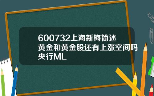 600732上海新梅简述黄金和黄金股还有上涨空间吗央行ML