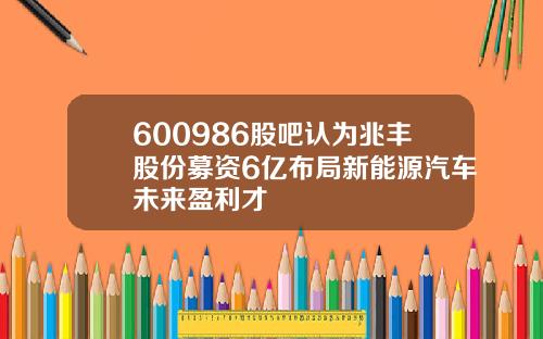 600986股吧认为兆丰股份募资6亿布局新能源汽车未来盈利才