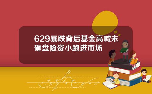 629暴跌背后基金高喊未砸盘险资小跑进市场