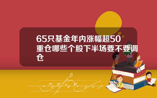65只基金年内涨幅超50重仓哪些个股下半场要不要调仓