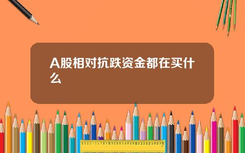 A股相对抗跌资金都在买什么
