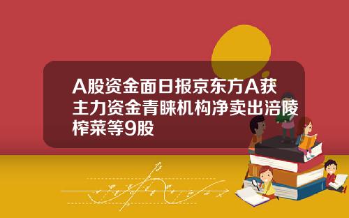A股资金面日报京东方A获主力资金青睐机构净卖出涪陵榨菜等9股