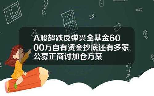 A股超跌反弹兴全基金6000万自有资金抄底还有多家公募正商讨加仓方案