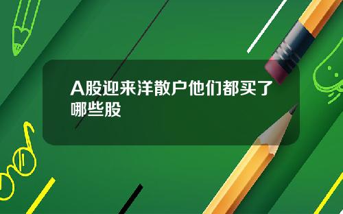 A股迎来洋散户他们都买了哪些股