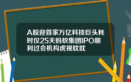A股迎首家万亿科技巨头耗时仅25天蚂蚁集团IPO顺利过会机构虎视眈眈