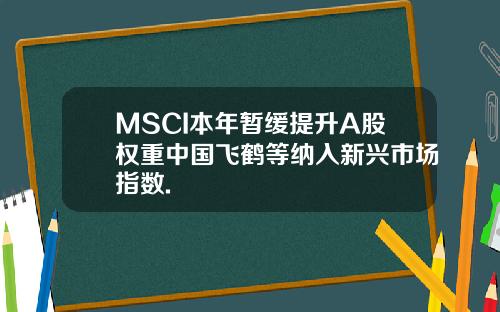 MSCI本年暂缓提升A股权重中国飞鹤等纳入新兴市场指数.