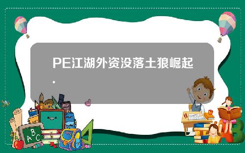 PE江湖外资没落土狼崛起.