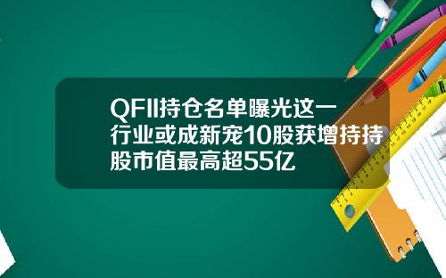 QFII持仓名单曝光这一行业或成新宠10股获增持持股市值最高超55亿