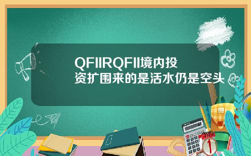 QFIIRQFII境内投资扩围来的是活水仍是空头