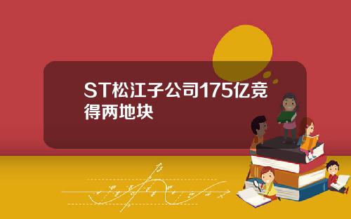 ST松江子公司175亿竞得两地块