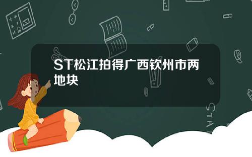 ST松江拍得广西钦州市两地块