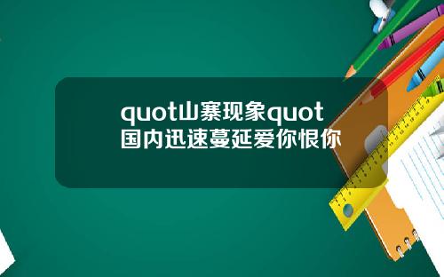 quot山寨现象quot国内迅速蔓延爱你恨你