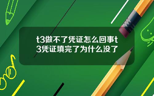 t3做不了凭证怎么回事t3凭证填完了为什么没了